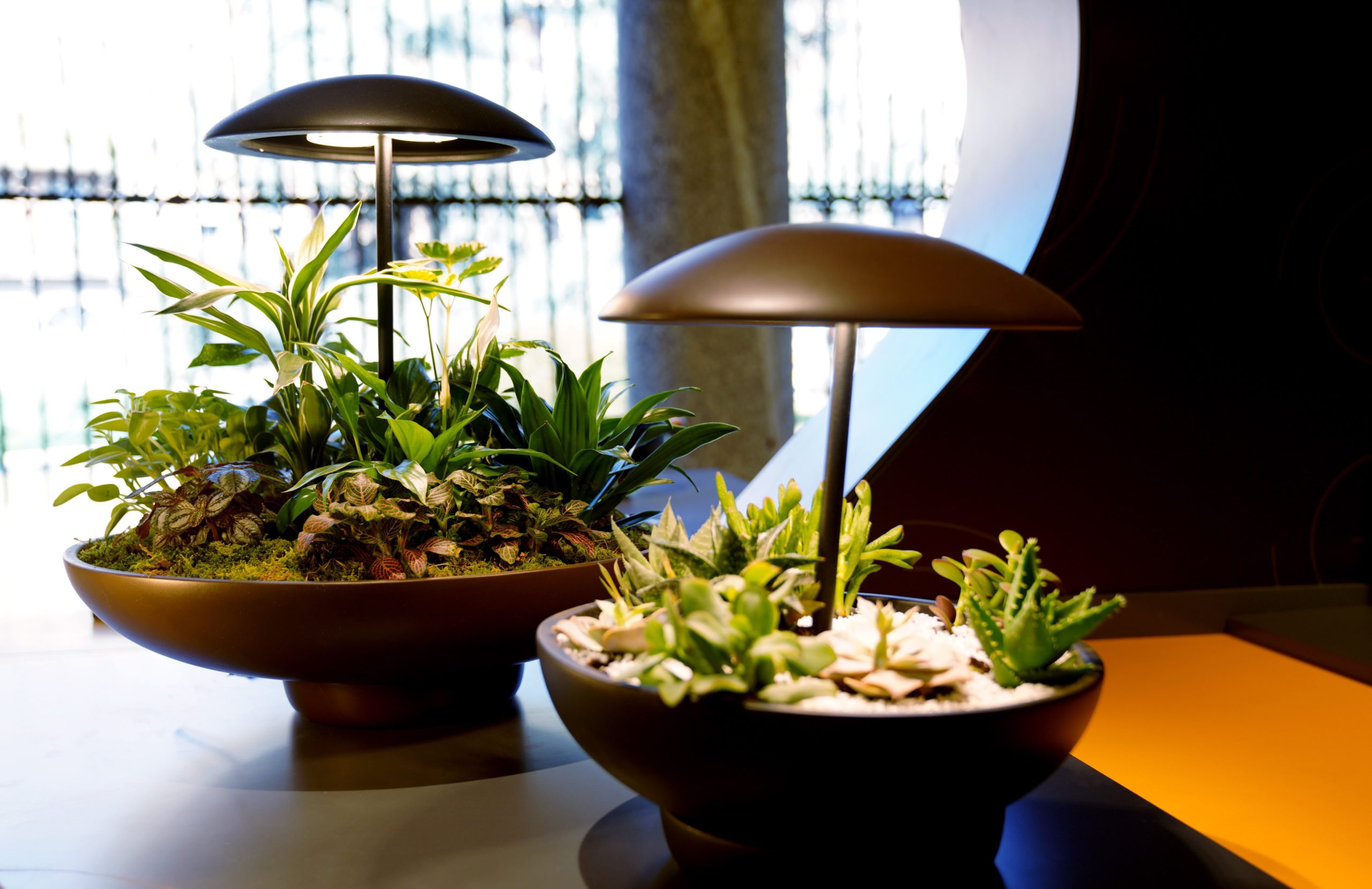 Garden: la lampada da tavolo con mini giardino. Luce, natura e benessere alla Milano Design Week