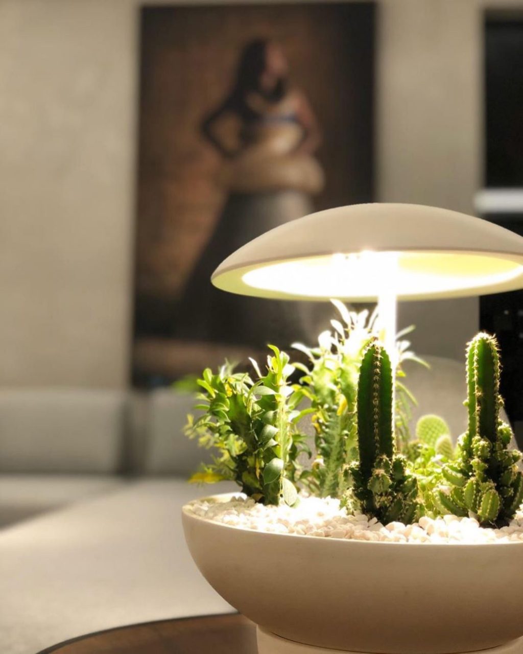 Jardín: la lámpara de mesa con mini jardín